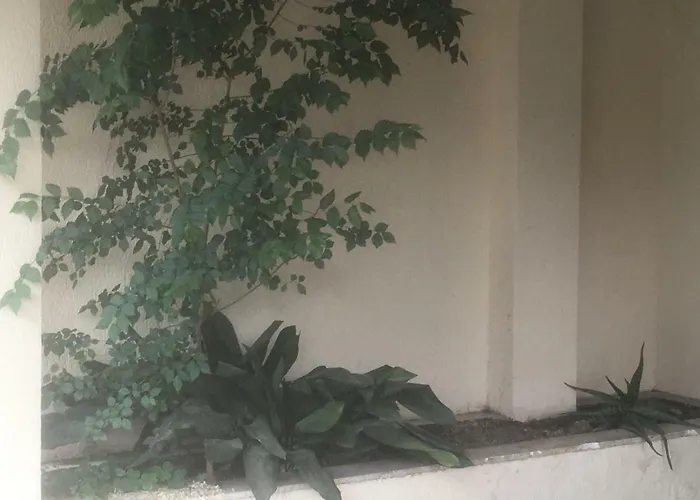 La Vela Cisanello 3* ピサ